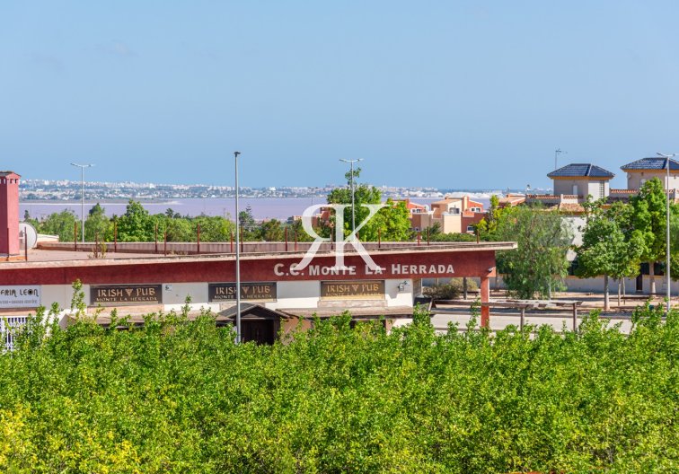 Nouvelle construction - Villa Individuelle - Benijofar - Benimar