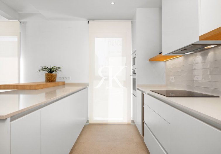 Nouvelle construction - Villa Individuelle - Benijofar - Benimar