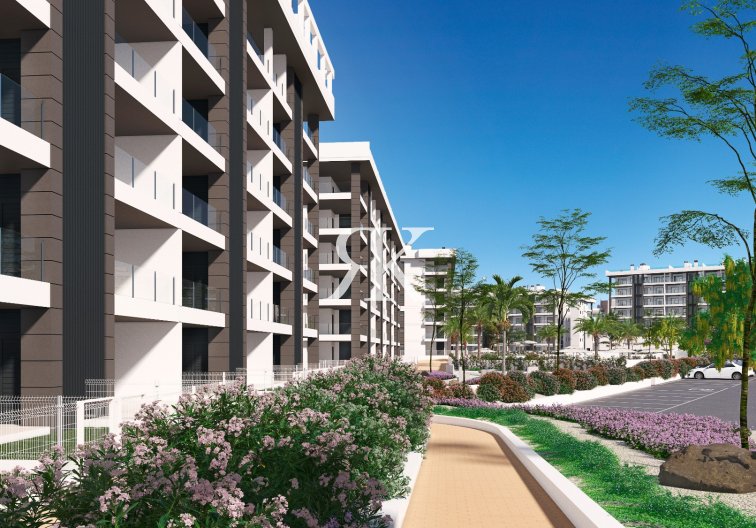 Neubau - Wohnung - Torrevieja - La Mata