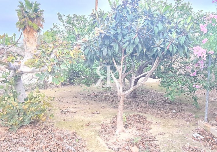 Resale - Detached Villa - Elche Pedanías - Valverde