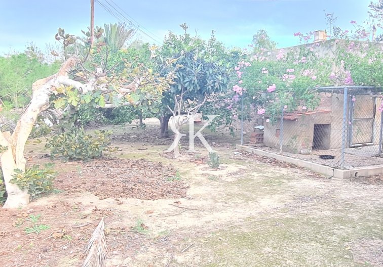 Resale - Detached Villa - Elche Pedanías - Valverde