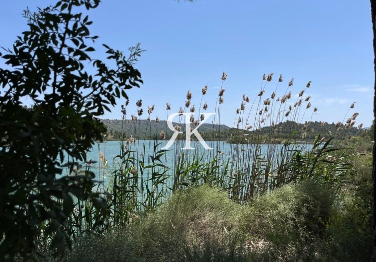 Obra Nueva - Villa independiente - Calasparra - Coto Riñales