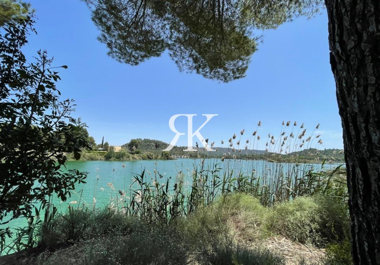 Obra Nueva - Villa independiente - Calasparra - Coto Riñales