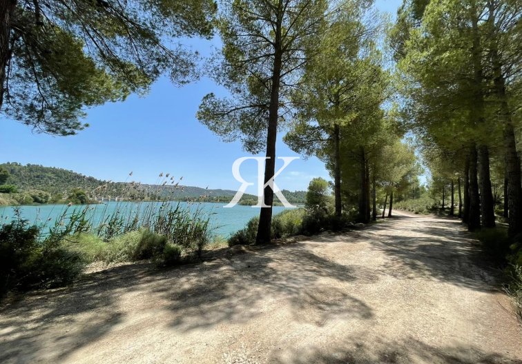 Obra Nueva - Villa independiente - Calasparra - Coto Riñales