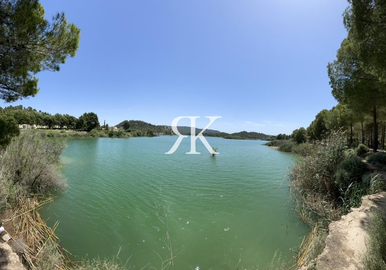 Obra Nueva - Villa independiente - Calasparra - Coto Riñales