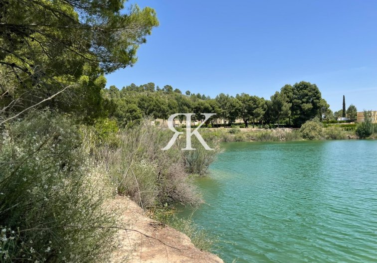 Obra Nueva - Villa independiente - Calasparra - Coto Riñales