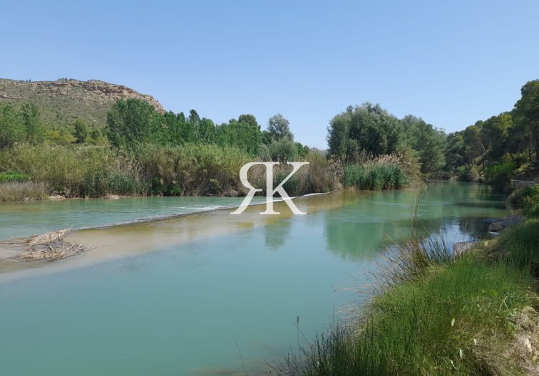 Obra Nueva - Villa independiente - Calasparra - Coto Riñales