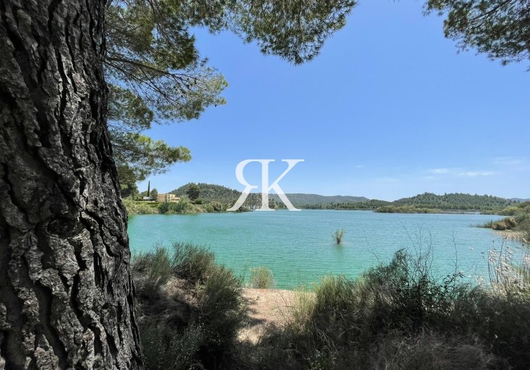 Construction Neuve - Villa Individuelle - Calasparra - Coto Riñales