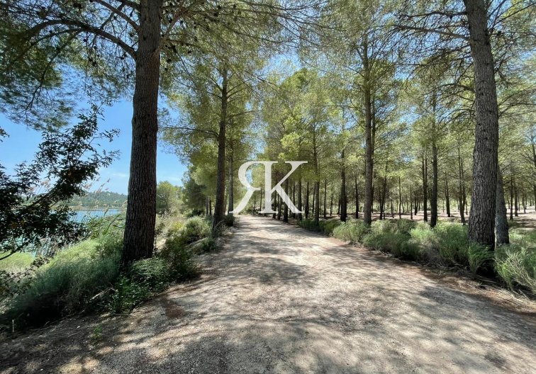 Construction Neuve - Villa Individuelle - Calasparra - Coto Riñales