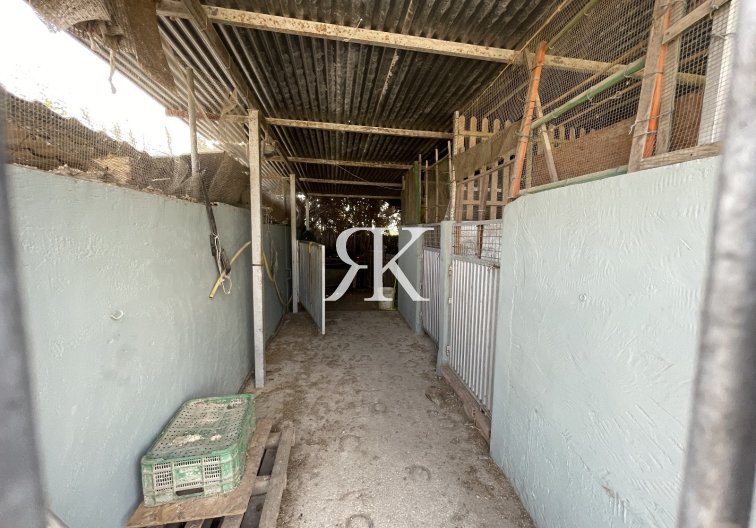 Resale - Villa with Guest Accommodation - San Fulgencio