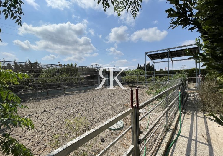 Resale - Villa with Guest Accommodation - San Fulgencio