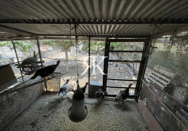 Resale - Villa with Guest Accommodation - San Fulgencio