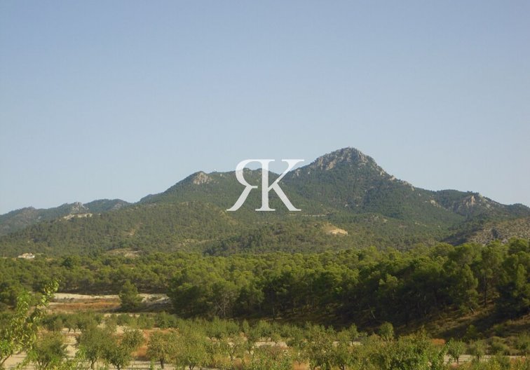 Resale - Country House - Fortuna - La Garapacha