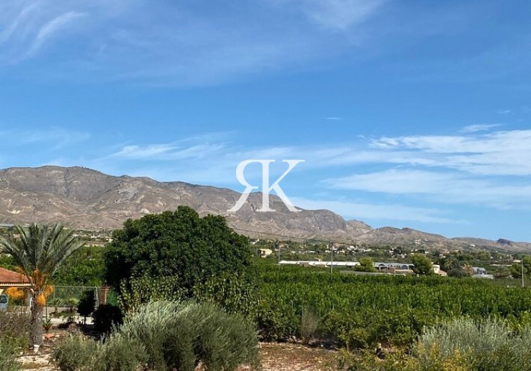 Wiederverkauf - Freistehende Villa - Albatera