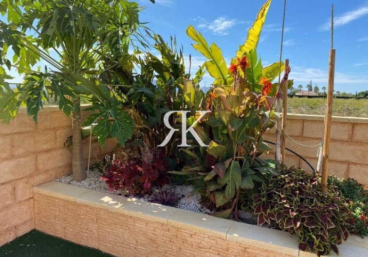 Wiederverkauf - Freistehende Villa - Albatera