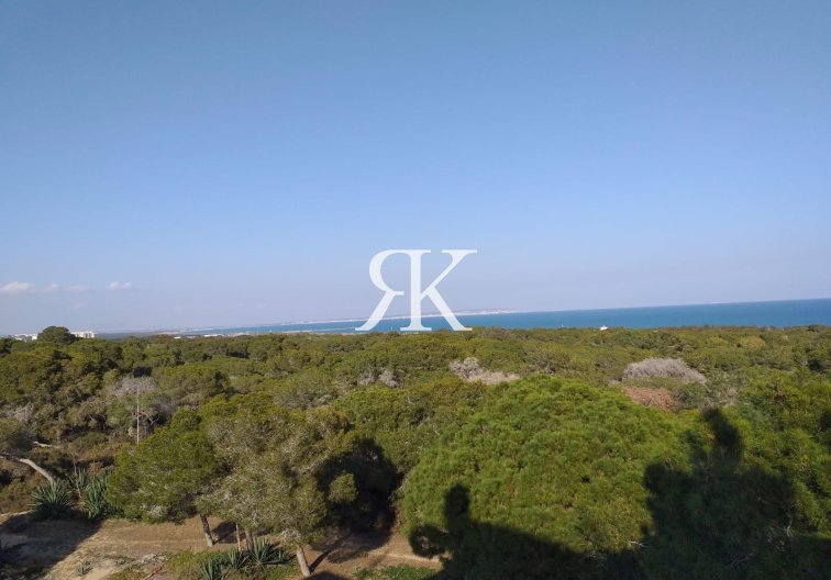 Construction Neuve - Appartement - Guardamar del Segura - Pueblo