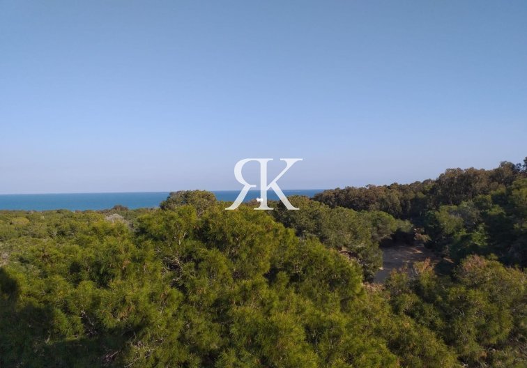 Construction Neuve - Appartement - Guardamar del Segura - Pueblo