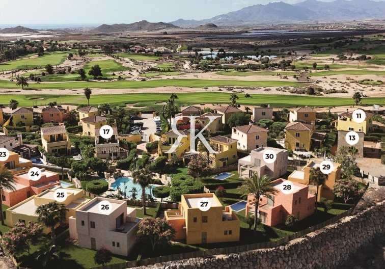 Obra Nueva - villa - Cuevas Del Almanzora - Desert Springs Golf Club