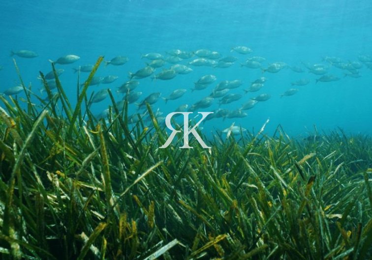 Construction Neuve - villa - Benissa - Racó Del Galeno