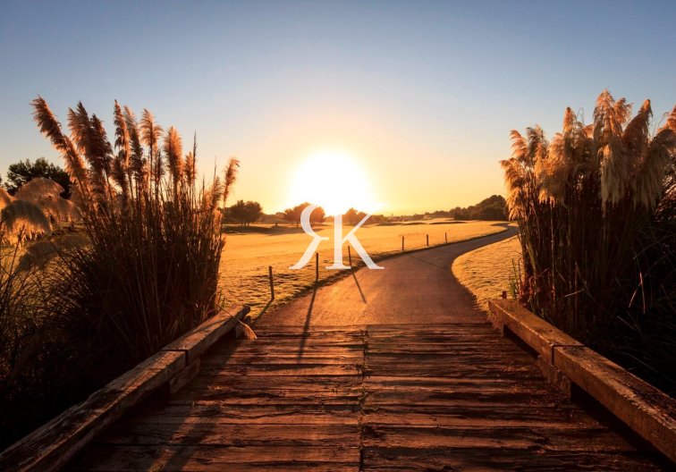 Obra Nueva - villa - Pilar de la Horadada - Lo Romero Golf