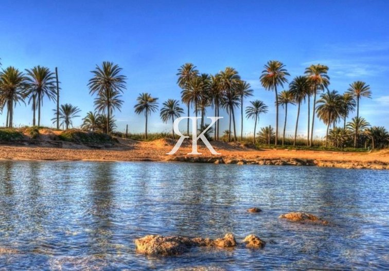 Construction Neuve - Penthouse - Torrevieja - Playa de El Cura