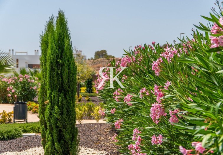 New Build - Ground floor Bungalow - Orihuela - Vistabella Golf