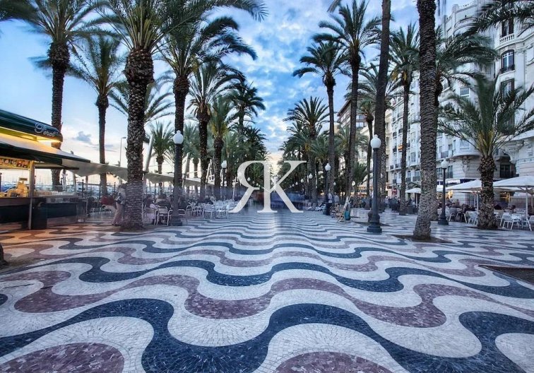 Obra Nueva - Apartamento  - Alicante - Benalua