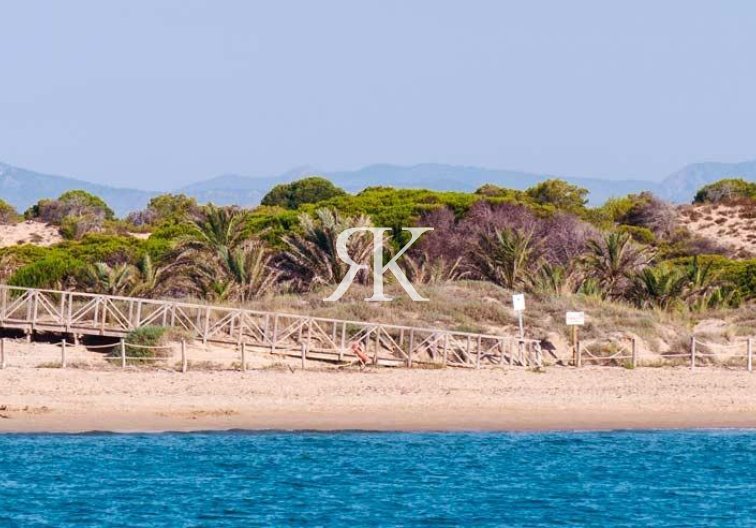 Obra Nueva - Apartamento  - Guardamar del Segura - Pueblo