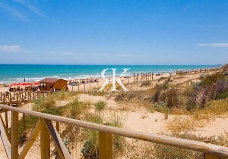 Construction Neuve - villa - Benijofar - Pueblo