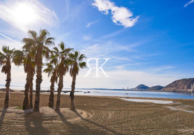 Neubau - villa - Els Poblets - Partida Barranquets