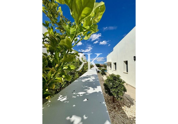 Construction Neuve - villa - Benijofar - Pueblo