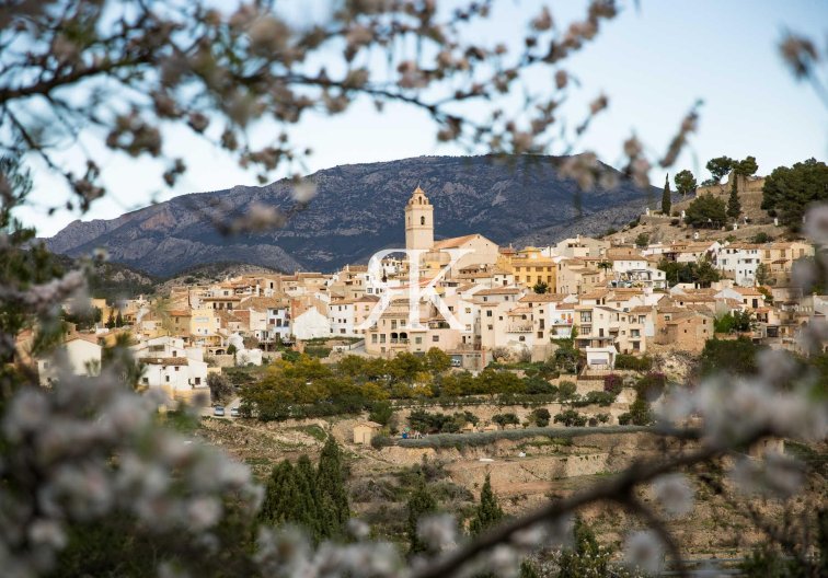 Construction Neuve - villa - Polop - Polop Hills