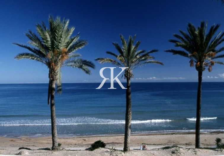 New Build - Bungalow - Pilar de la Horadada - Parque Ramon eugenio Escudero