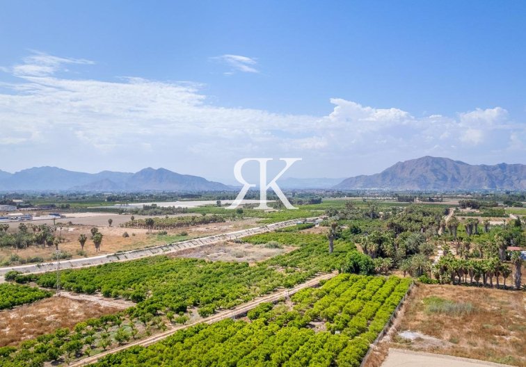 Obra Nueva - Apartamento  - Jacarilla - pueblo