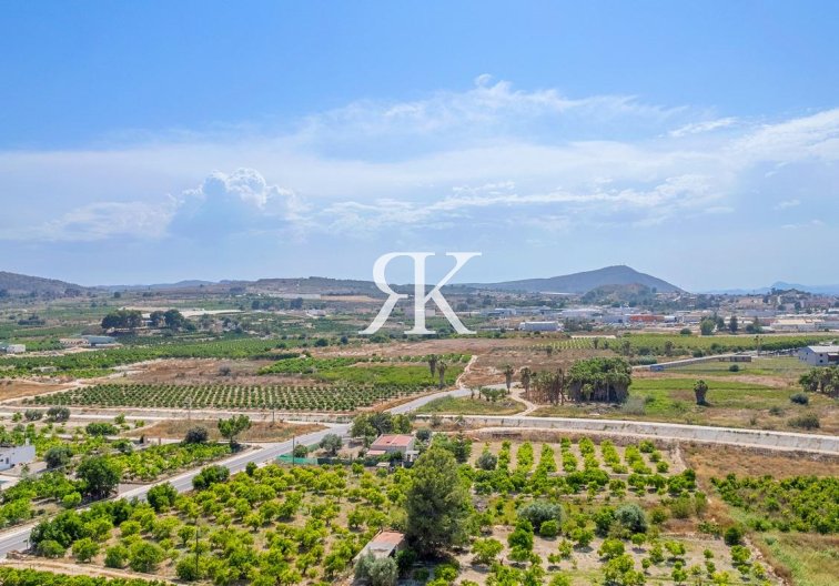 Neubau - Penthaus - Jacarilla - pueblo