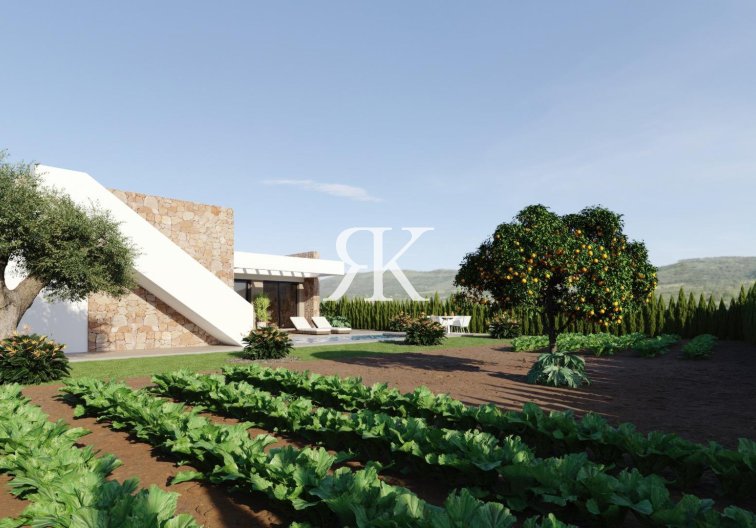 New Build - villa - Fuente Álamo - Hacienda del Alamo