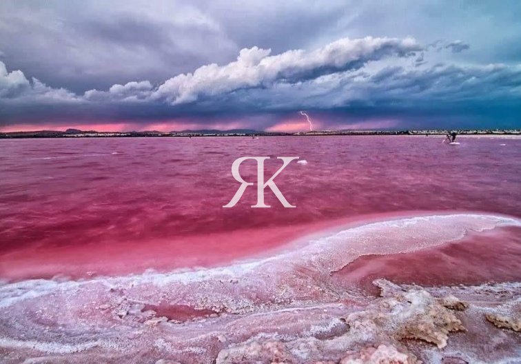 Construction Neuve - Penthouse - Torrevieja - Centro