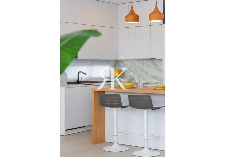 Obra Nueva - villa - Vera - Vera Playa