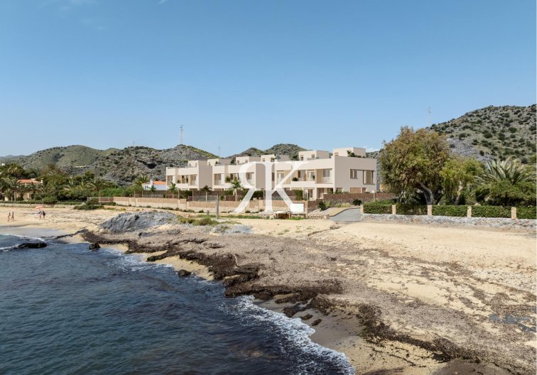 Construction Neuve - villa - Cuevas Del Almanzora - Cala Panizo