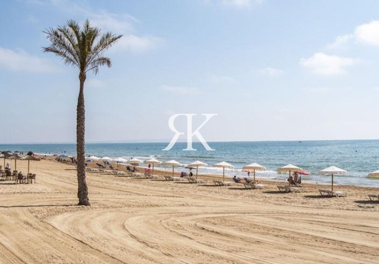 New Build - Ground floor apartment - Guardamar del Segura - Pueblo