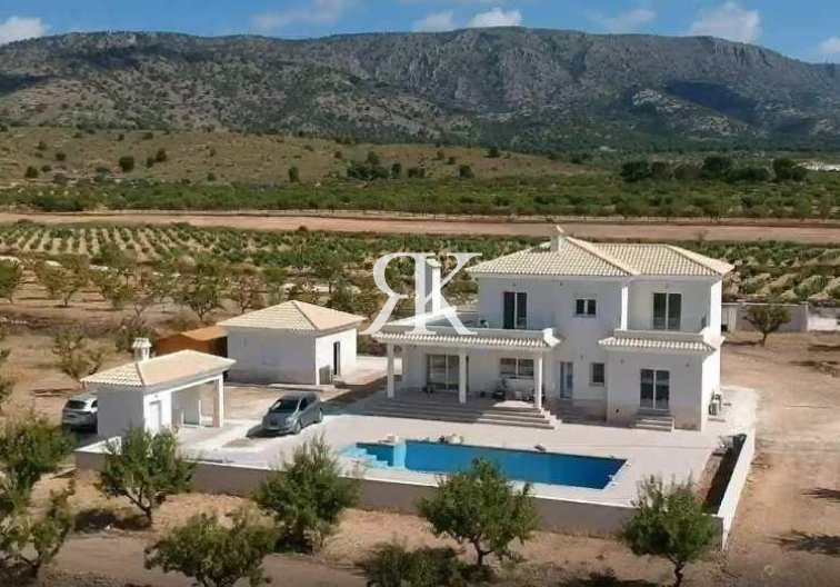 New Build - villa - Pinoso - Camino Del Prado