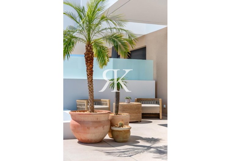 Neubau - Semidetached - Dolores - Sector 3