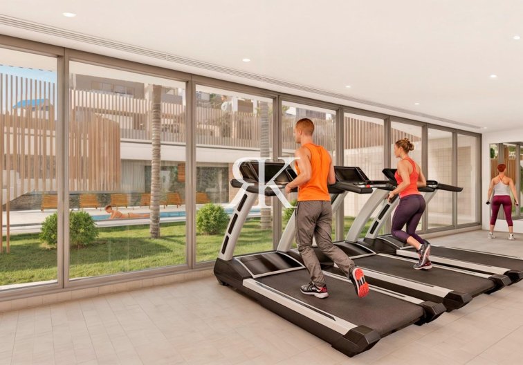 Construction Neuve - Penthouse - Pilar de la Horadada - Playa de las Higuericas