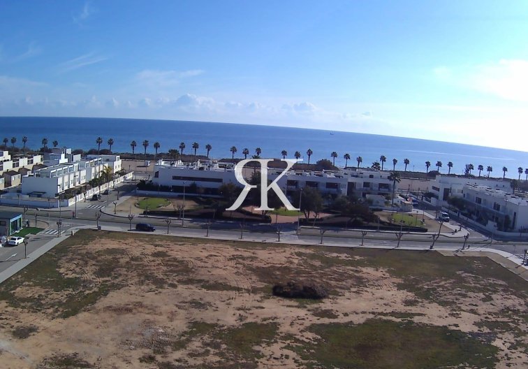 Construction Neuve - Penthouse - Pilar de la Horadada - Playa de las Higuericas