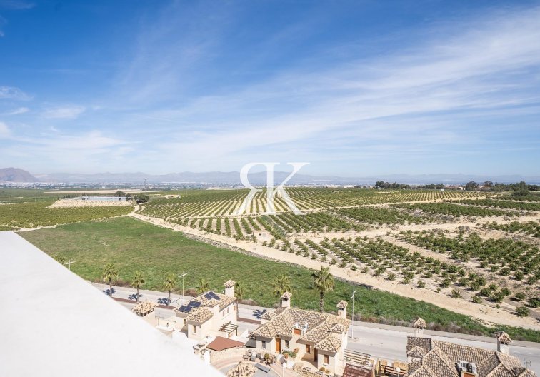 Neubau - Semidetached - Algorfa - La Finca Golf