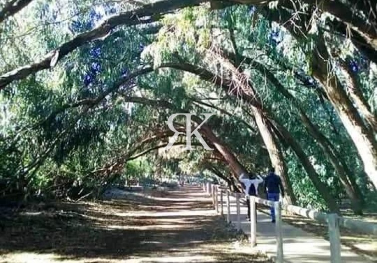 New Build - Ground floor Bungalow - Torrevieja - Altos del Sol